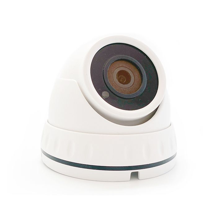 IP Dome Camera